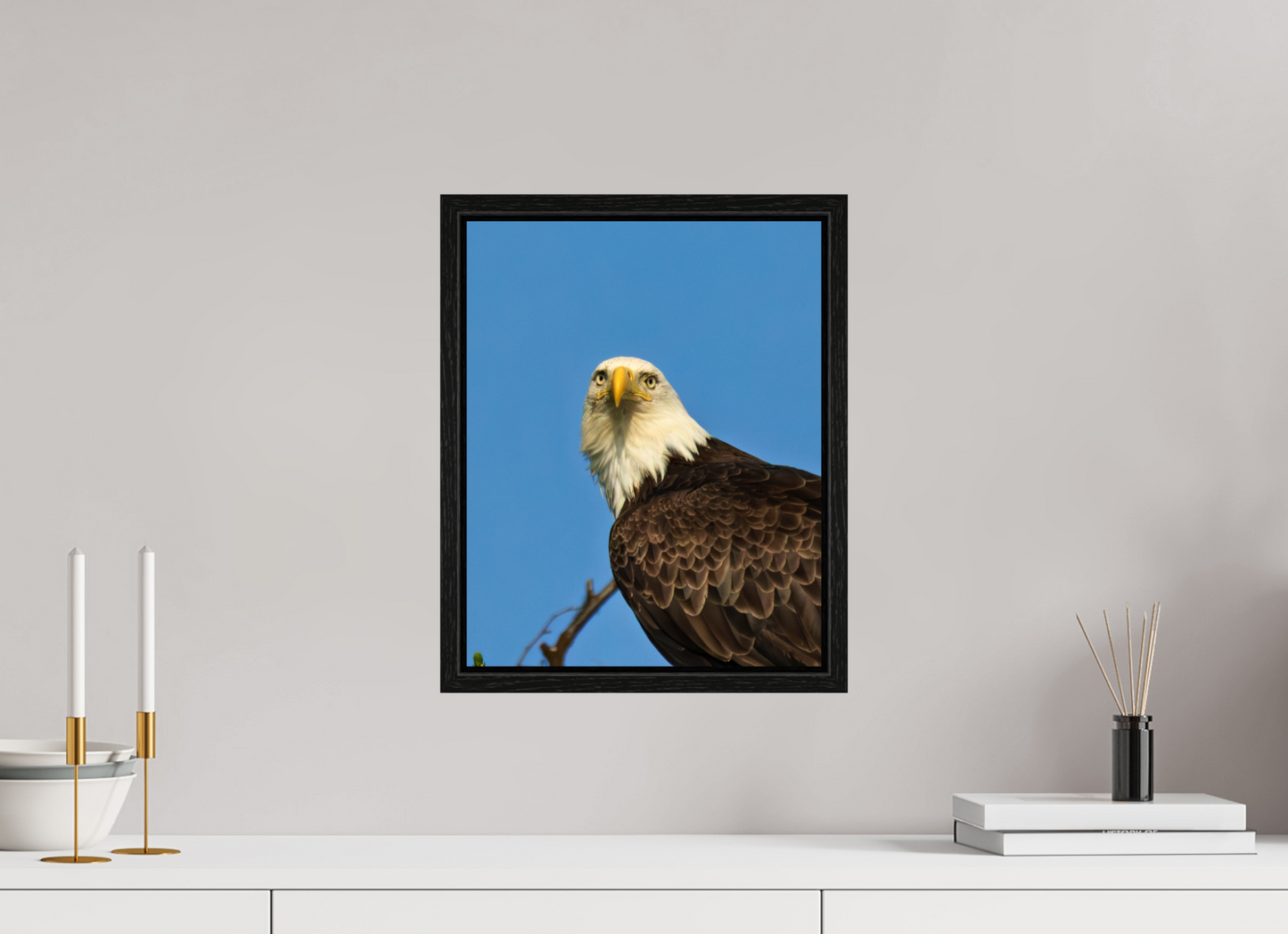 Eyes of the Wild – Bald Eagle in Alaska’s Wilderness Nature Photography Print