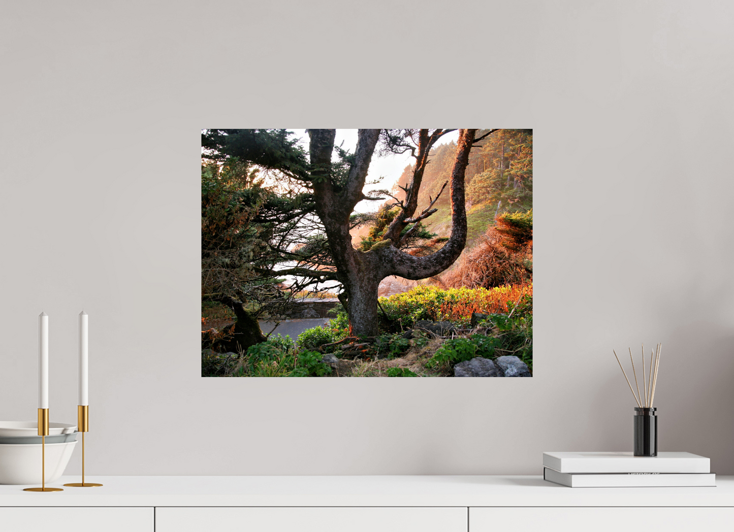 Sunset Glow Fine Art Nature Photography Print