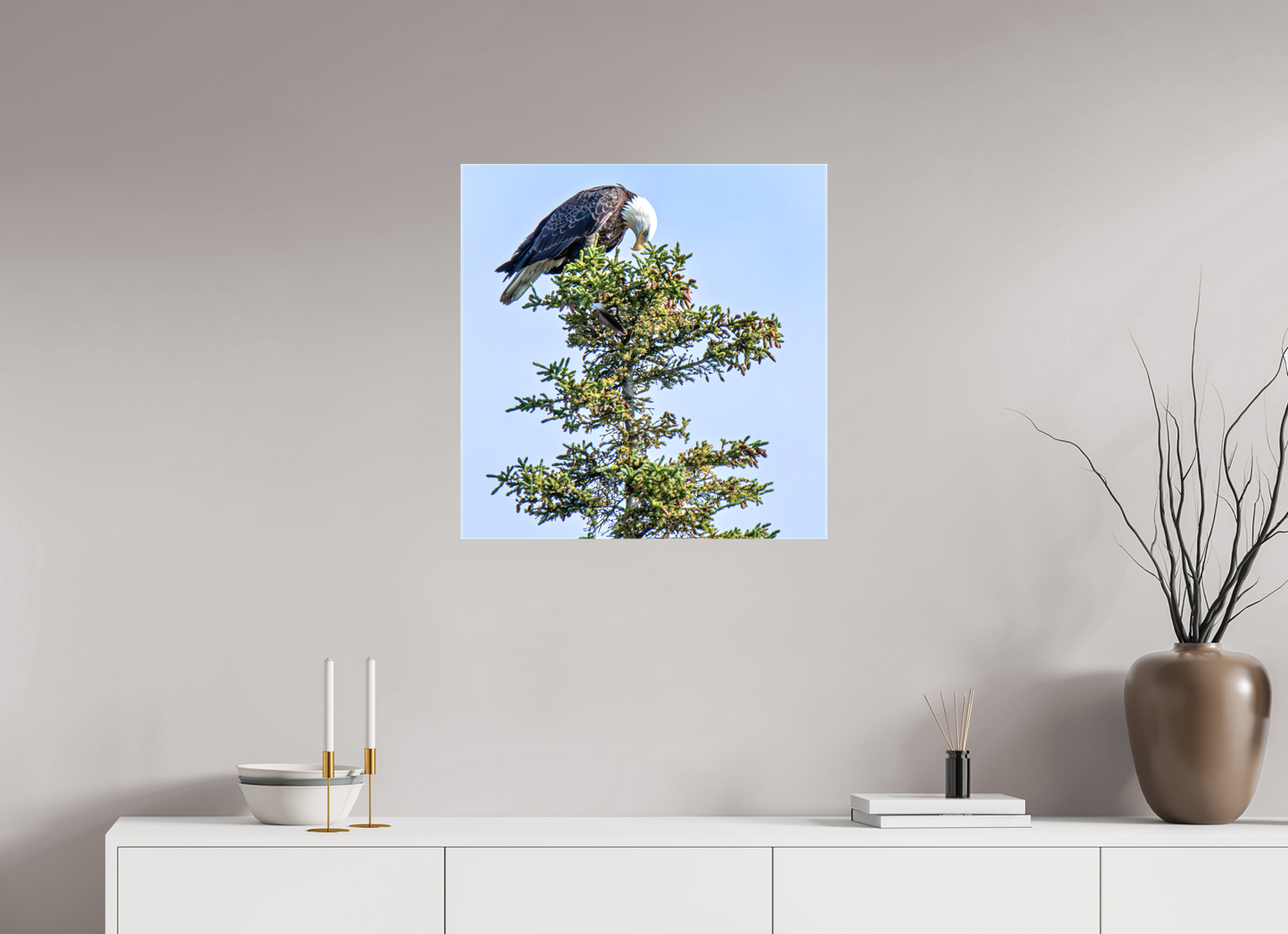 Silent Sentinel – Bald Eagle in Alaska’s Pines Nature Photography Print