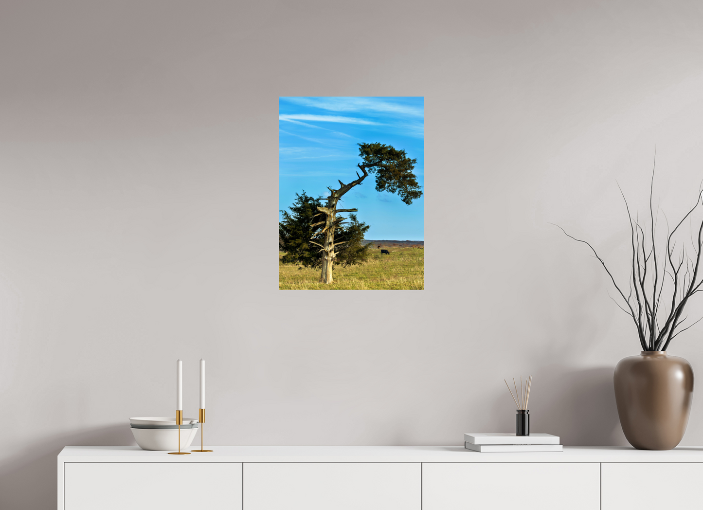 Still Standing – The Cedar That Reached for the Sky