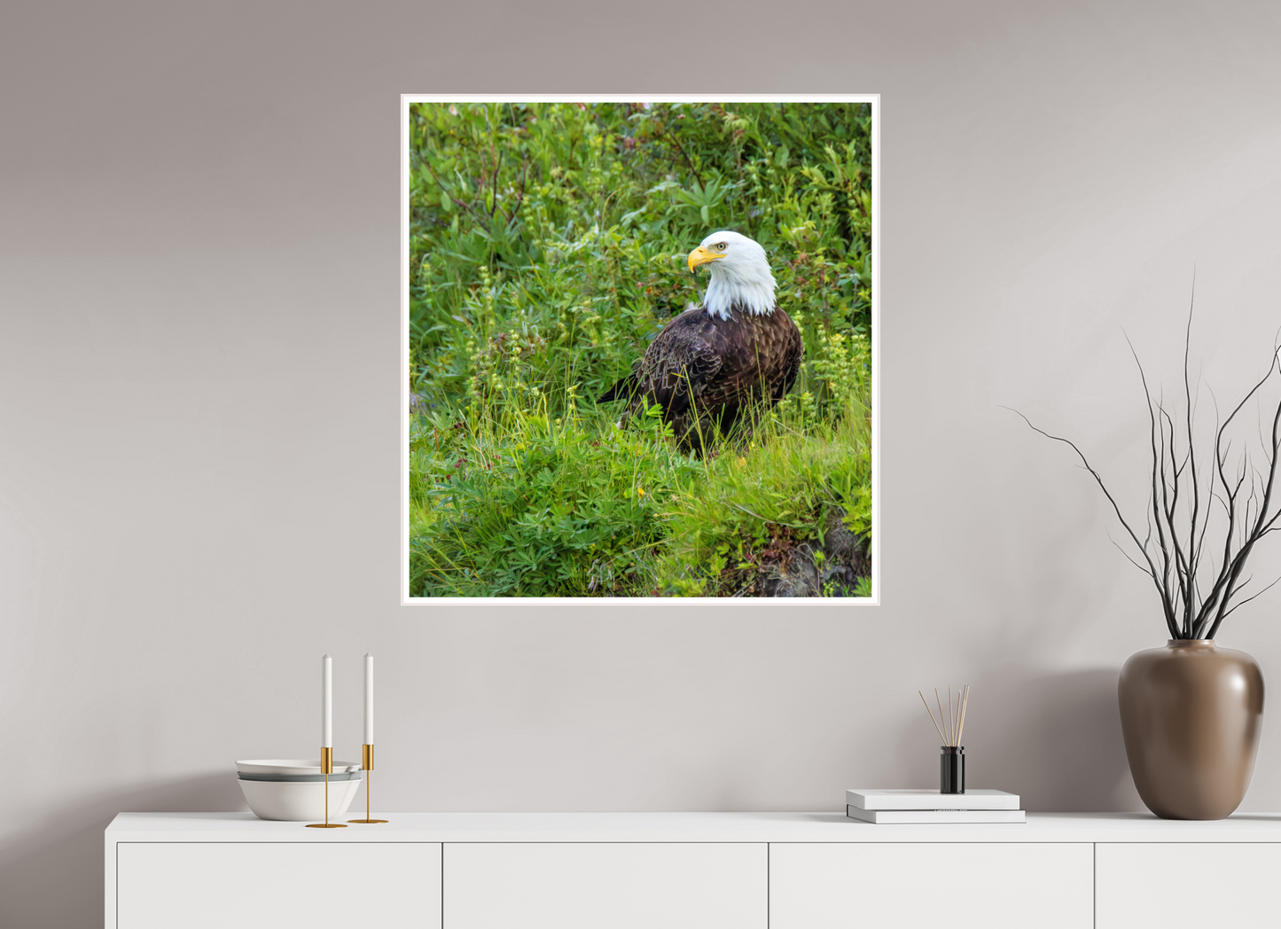 Grounded Majesty – Bald Eagle in Alaska’s Wilderness Nature Photography Print