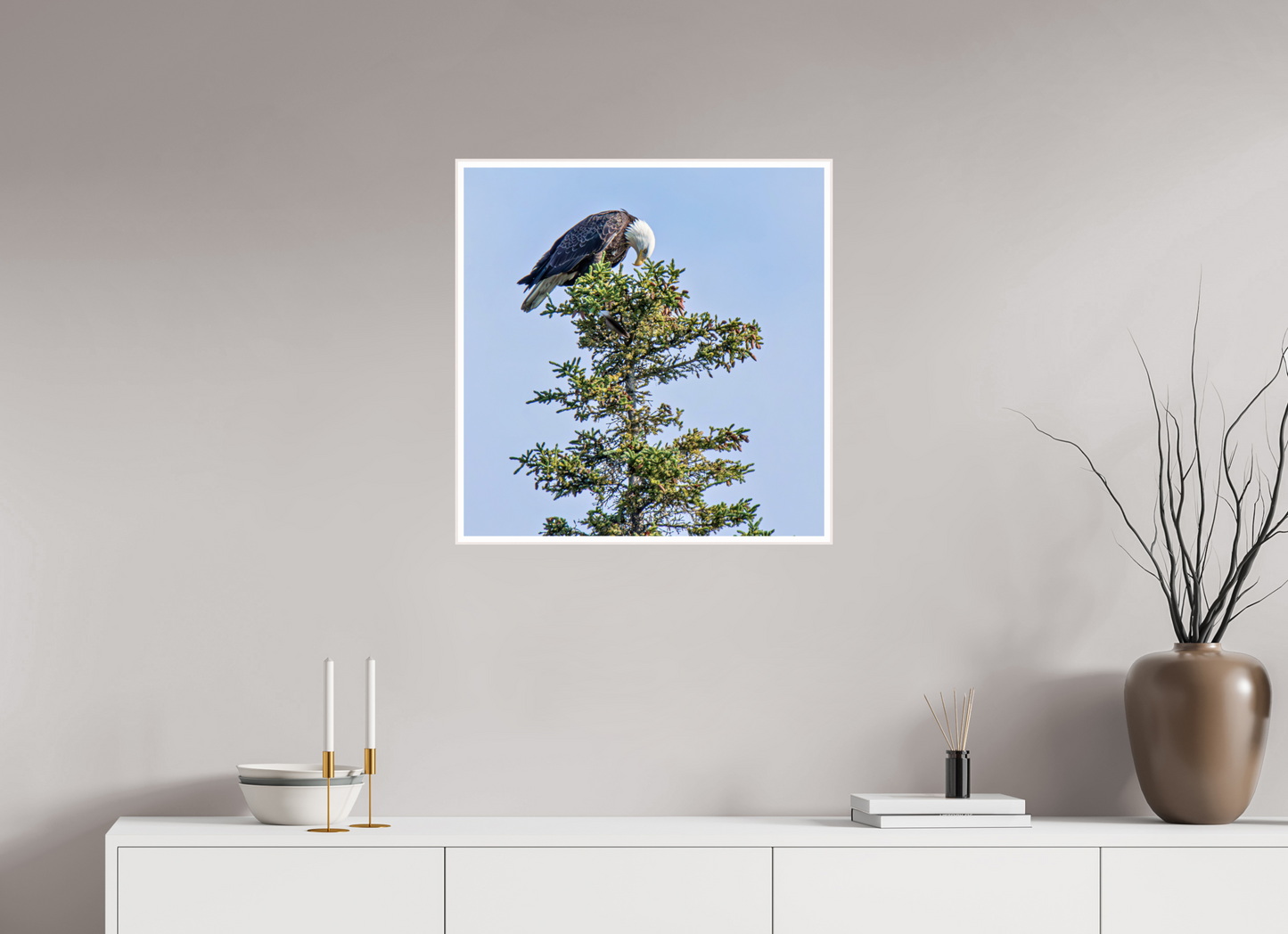 Silent Sentinel – Bald Eagle in Alaska’s Pines Nature Photography Print