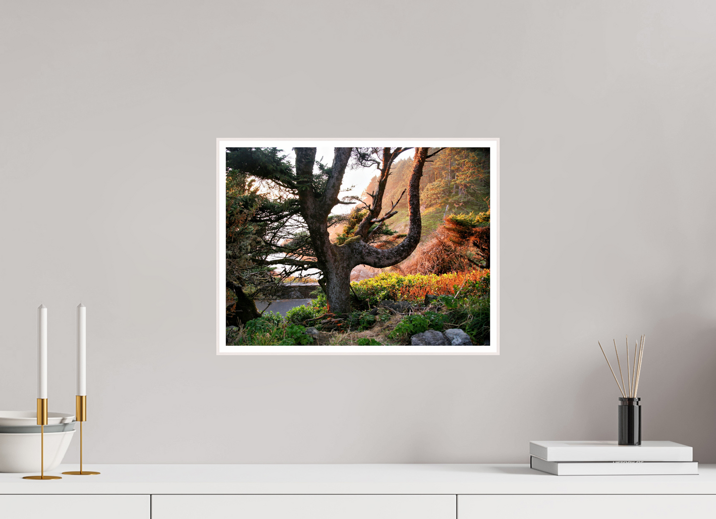 Sunset Glow Fine Art Nature Photography Print