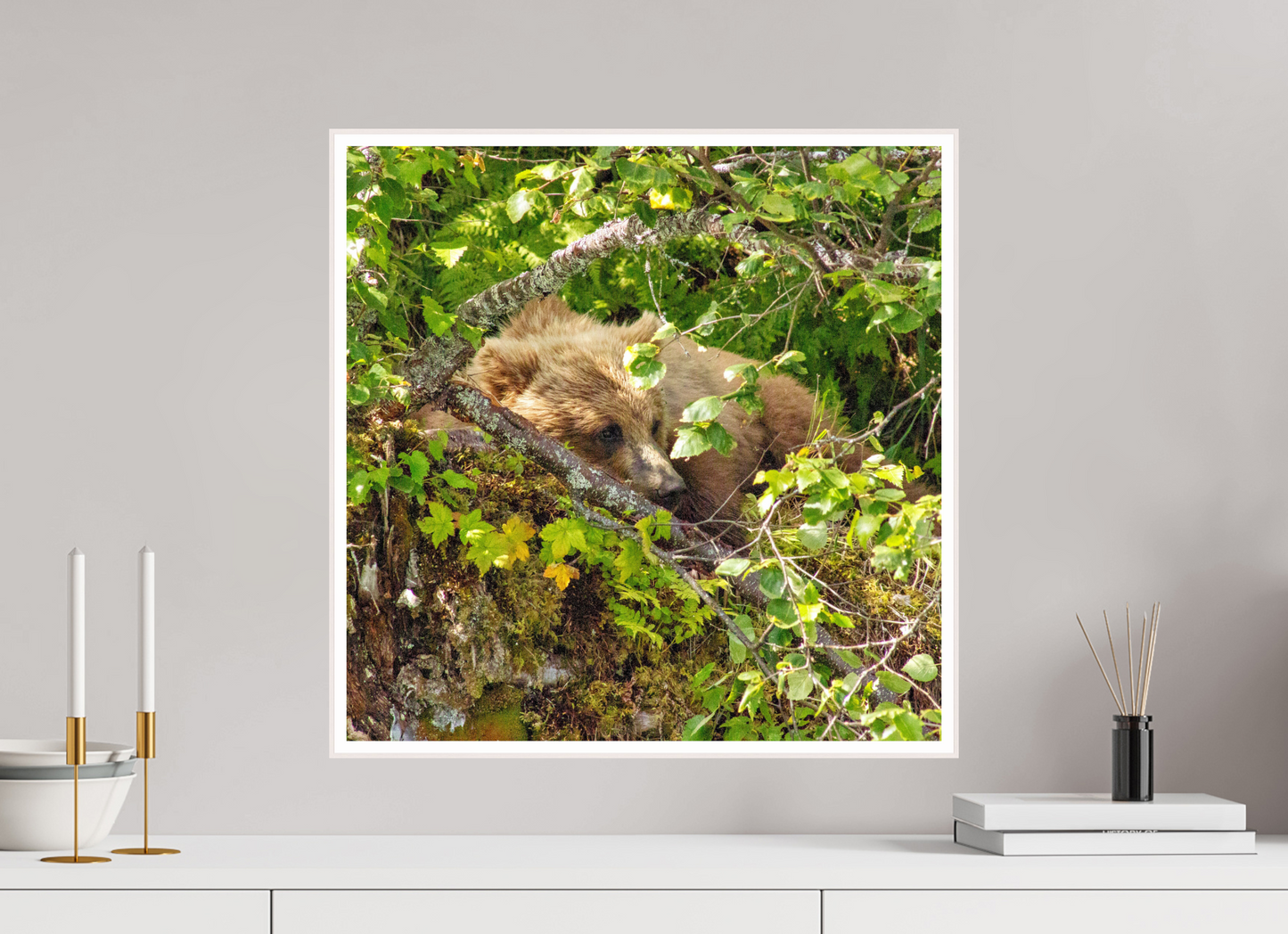 Hide and Peek Nature Photography Print