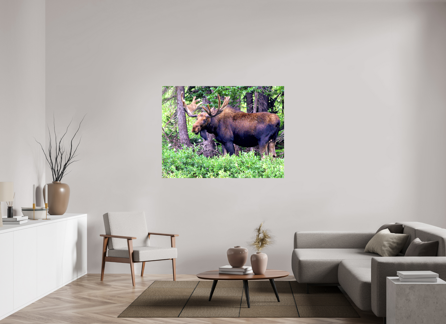Watchful Moose - Fine Art Wildlife Print