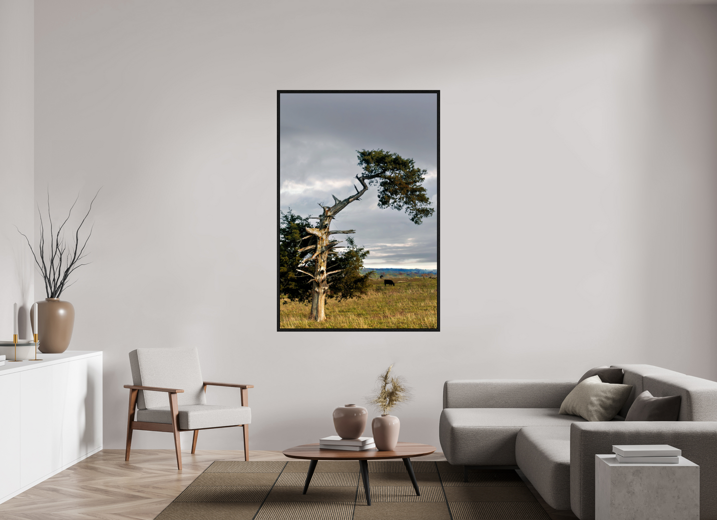 Still Standing - The Cedar That Weathered It All
