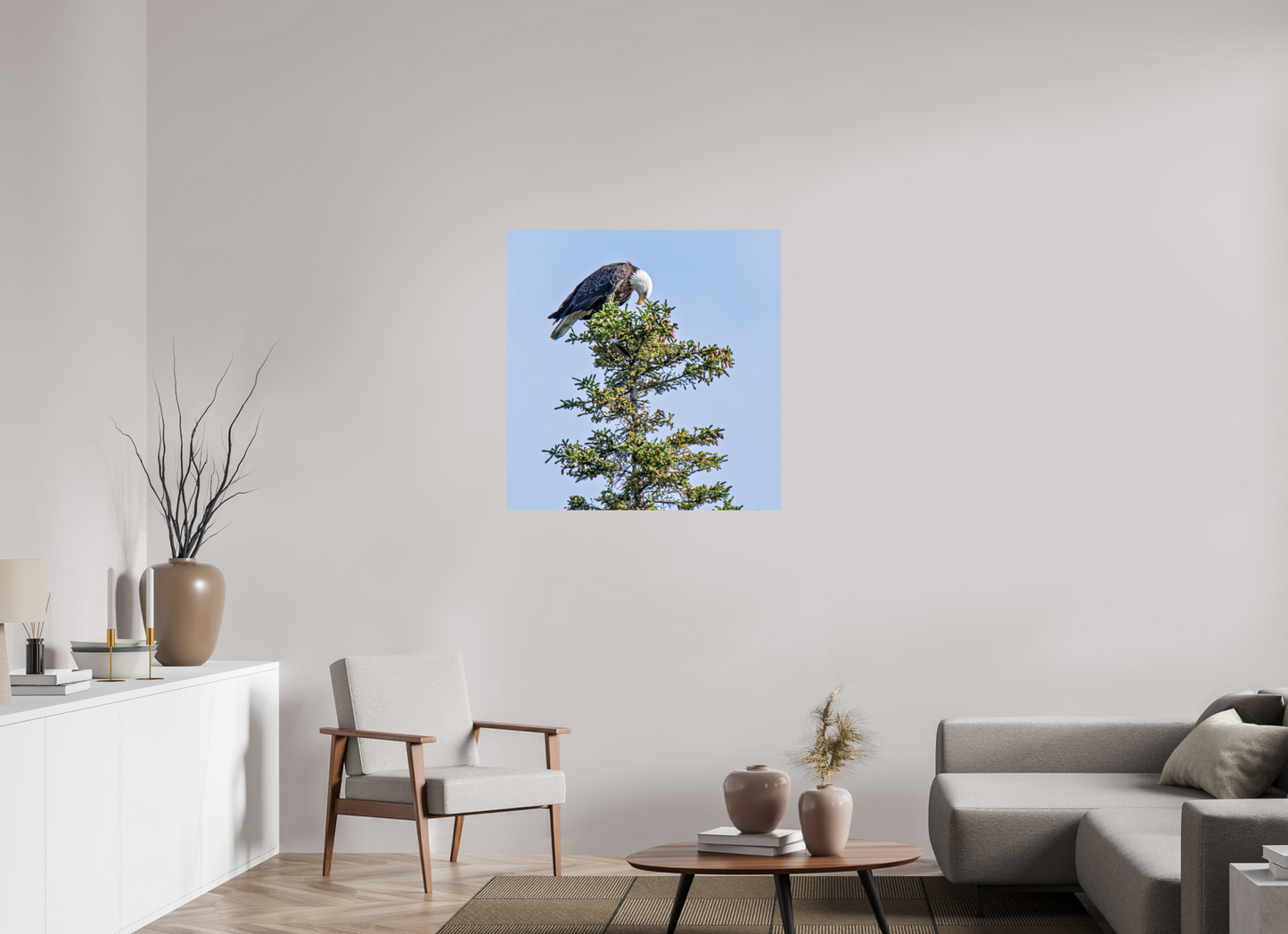 Silent Sentinel – Bald Eagle in Alaska’s Pines Nature Photography Print