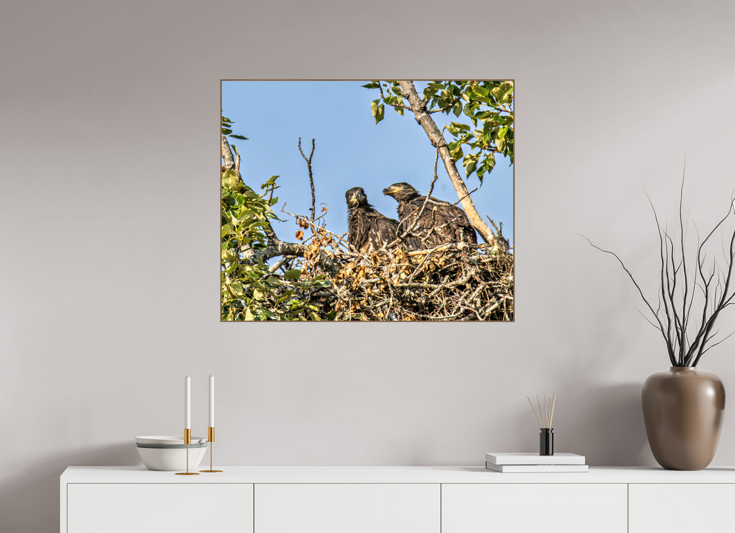 Nestmates – Young Eagles in a Woodland Home – Nature Photography Print