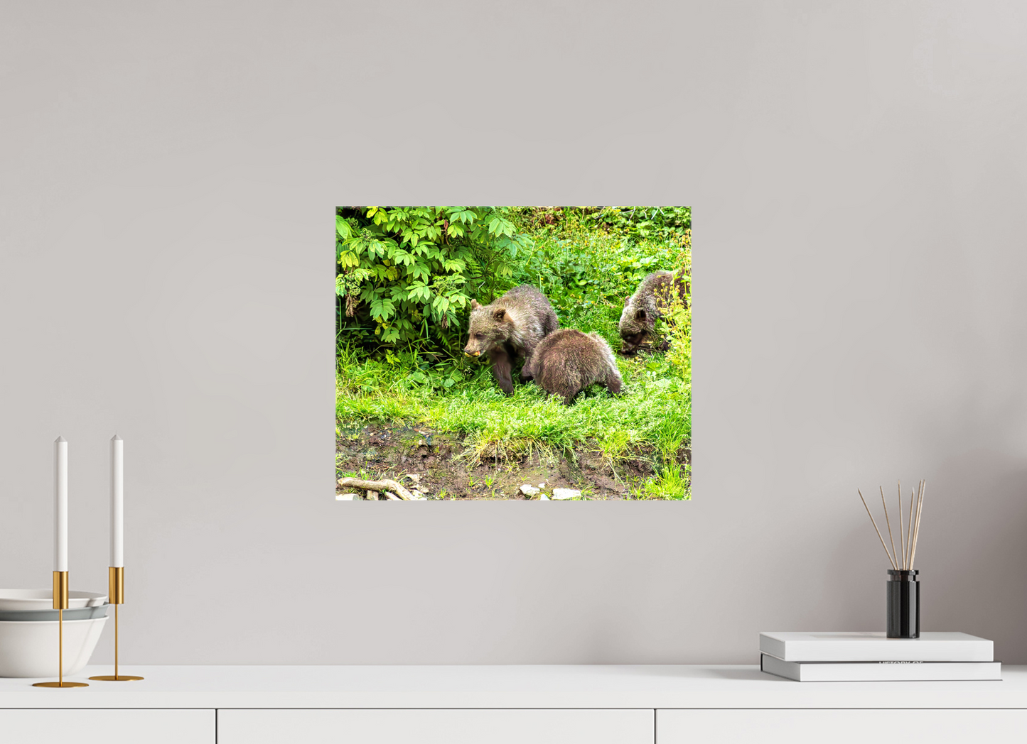 Brown Bear Triplets