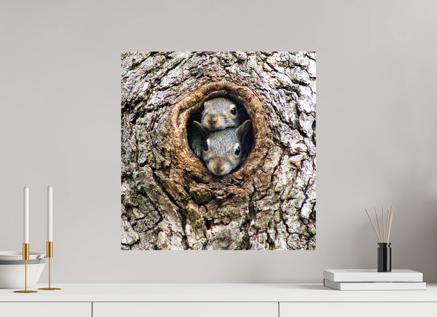 Curious Peek Nature Photography Print