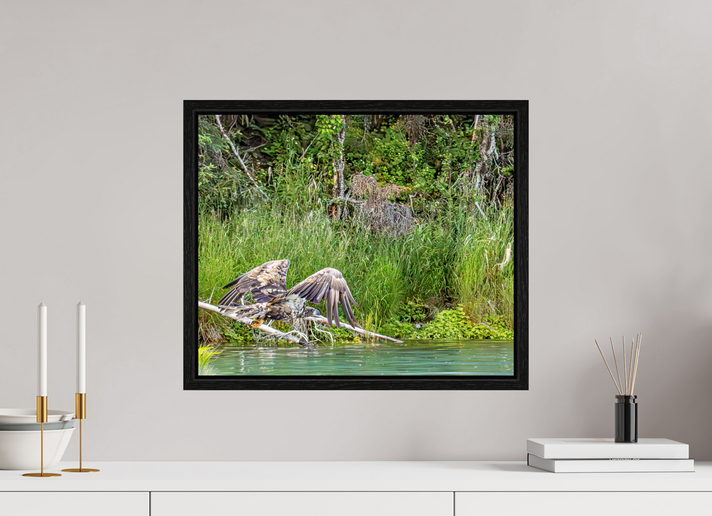 Skimming the Wild – Juvenile Bald Eagle Over the Kasilof River, Nature Photography Print