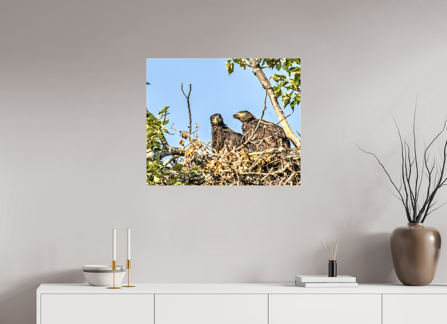 Nestmates – Young Eagles in a Woodland Home – Nature Photography Print