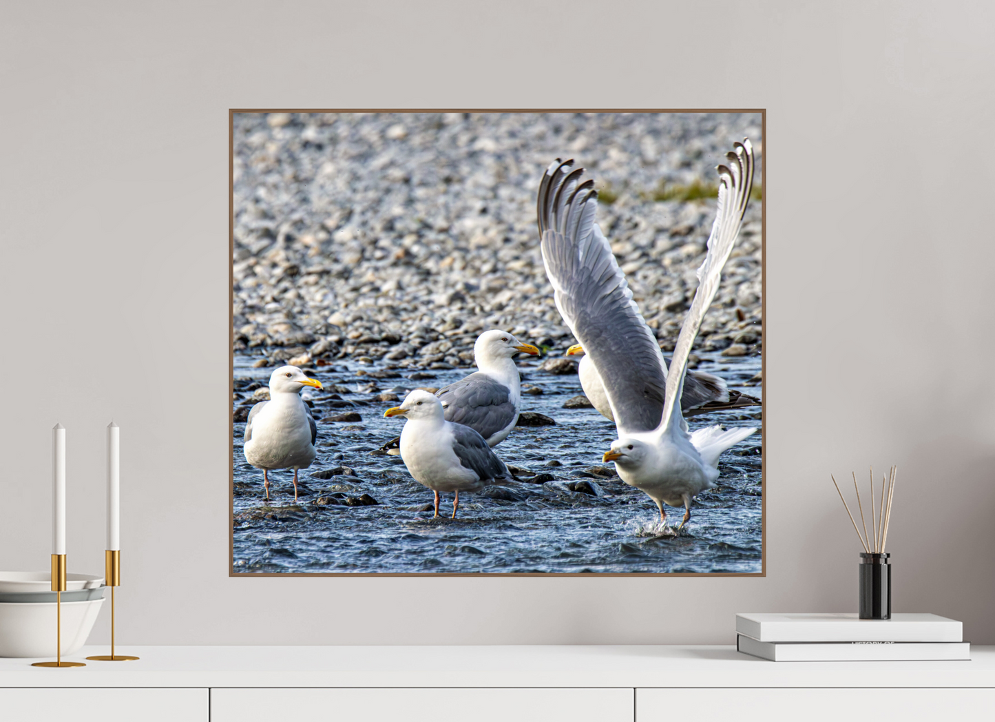 Wings in Motion – Seagulls on the Kasilof River, Alaska Nature Photography Print