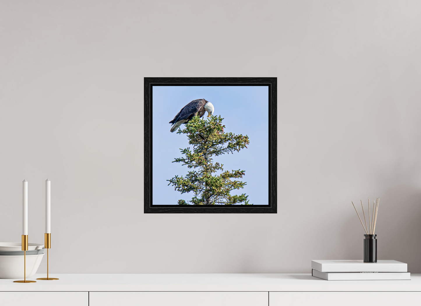 Silent Sentinel – Bald Eagle in Alaska’s Pines Nature Photography Print