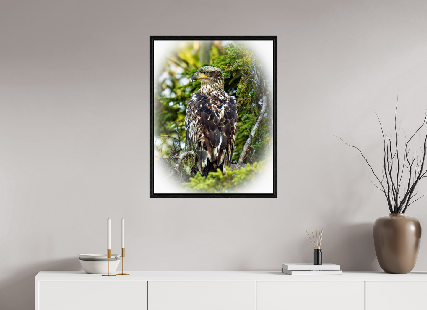 Forest Watch – Young Eagle Among the Pines Nature Photography Print