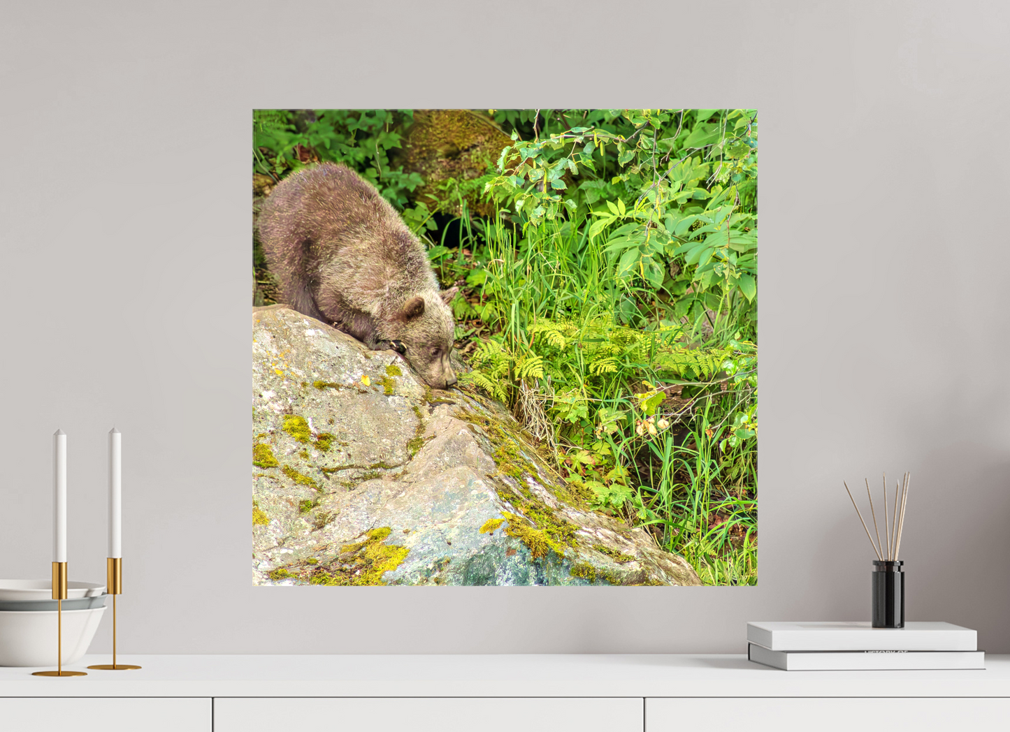 Learning the Ropes Nature Photography Print