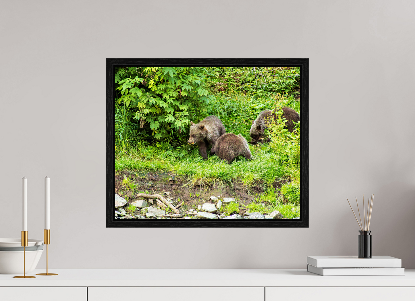 Brown Bear Triplets