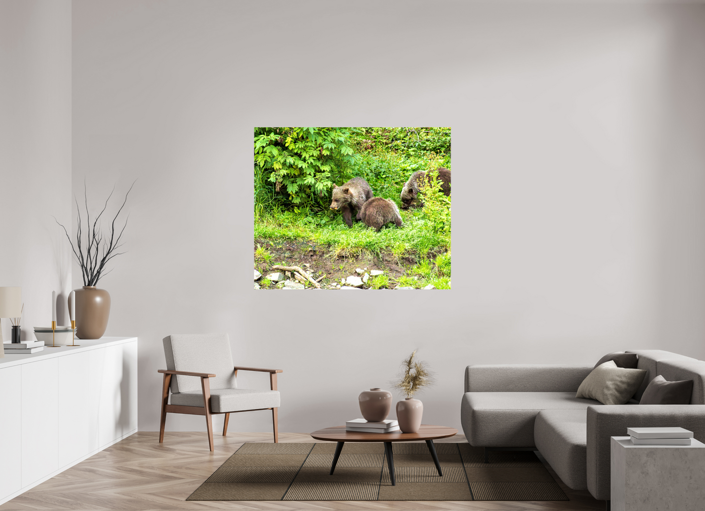 Brown Bear Triplets