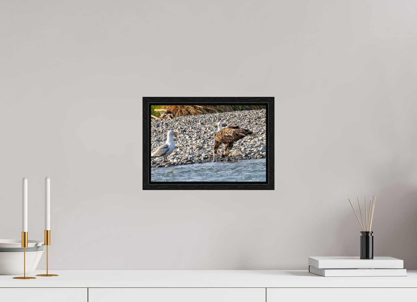 Mine? Mine? – Bald Eagle and Seagull Shoreline Standoff Nature Photography Print