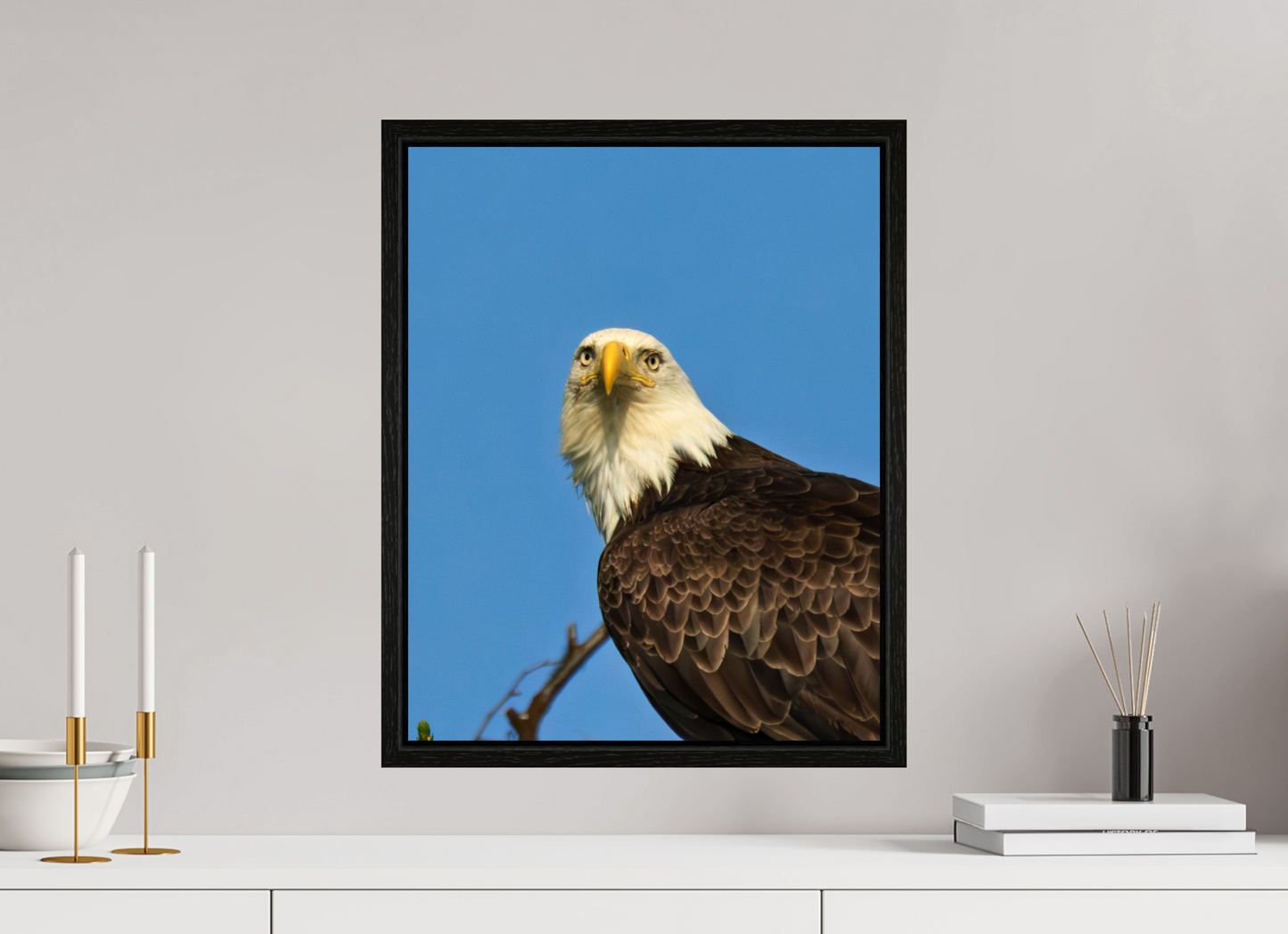 Eyes of the Wild – Bald Eagle in Alaska’s Wilderness Nature Photography Print