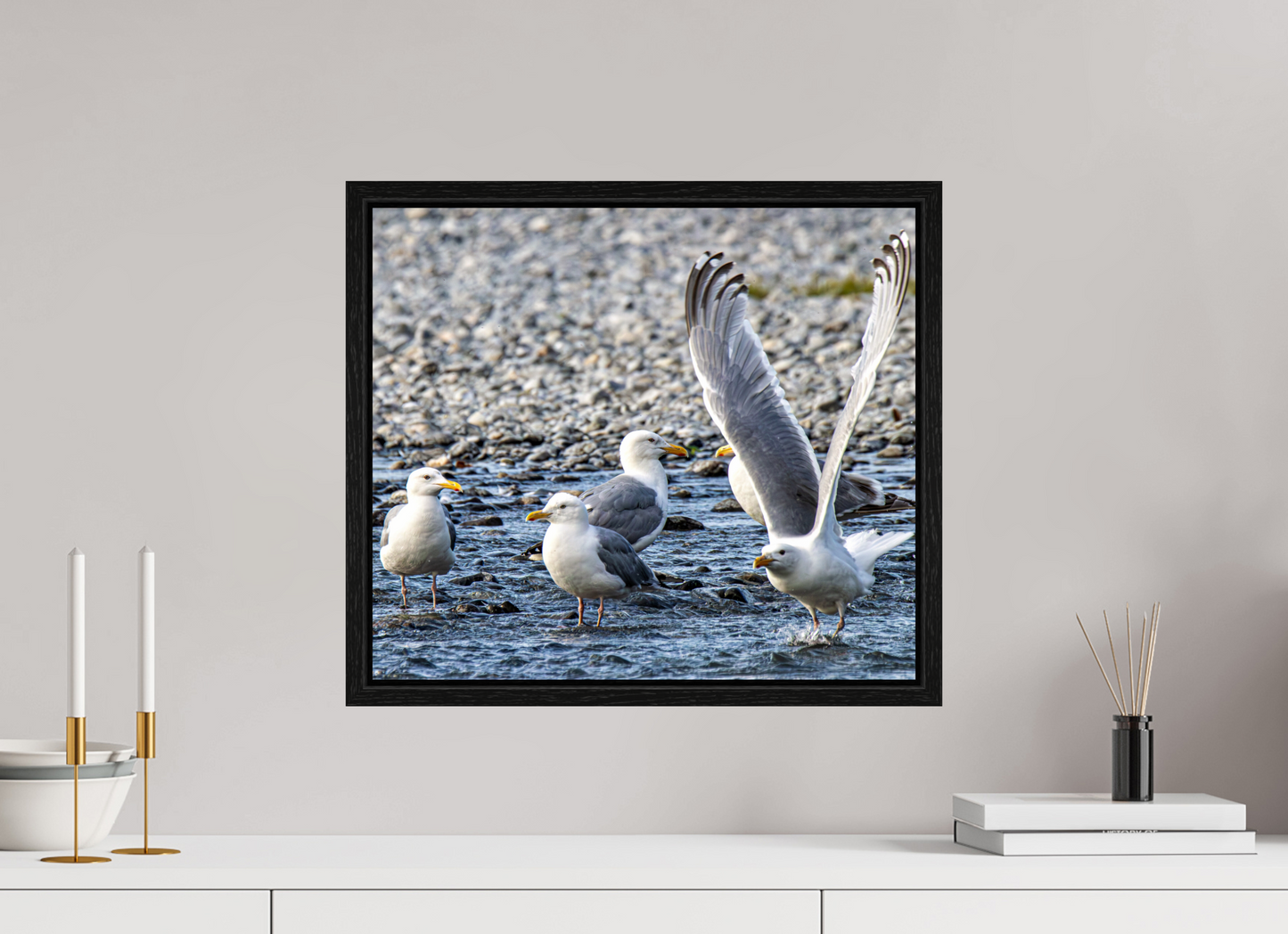 Wings in Motion – Seagulls on the Kasilof River, Alaska Nature Photography Print