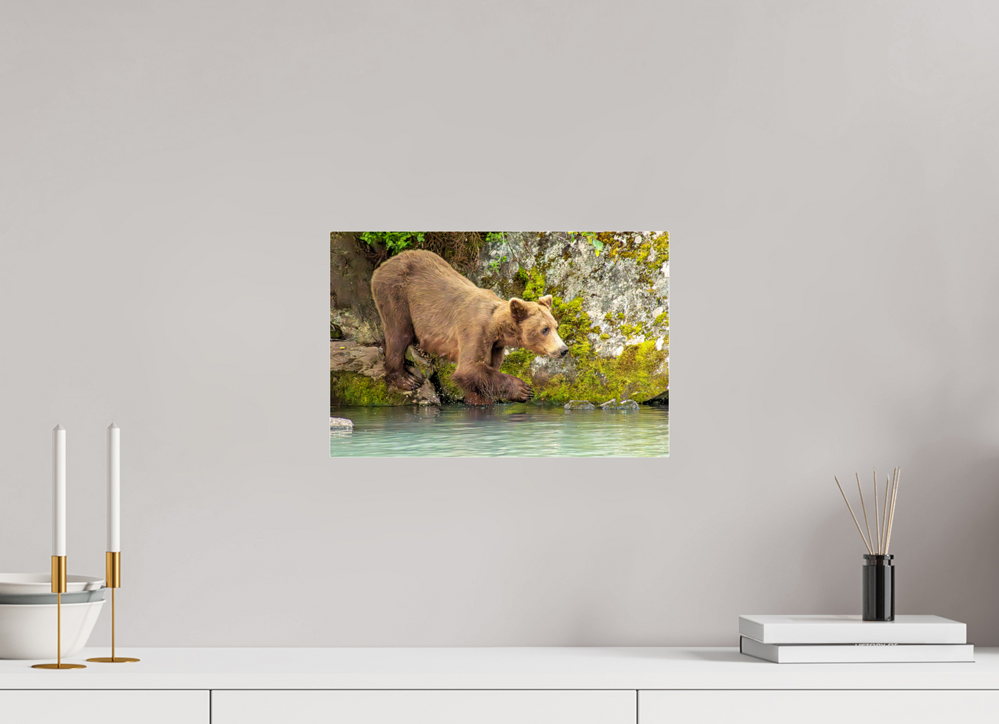 Testing the Waters Nature Photography Print