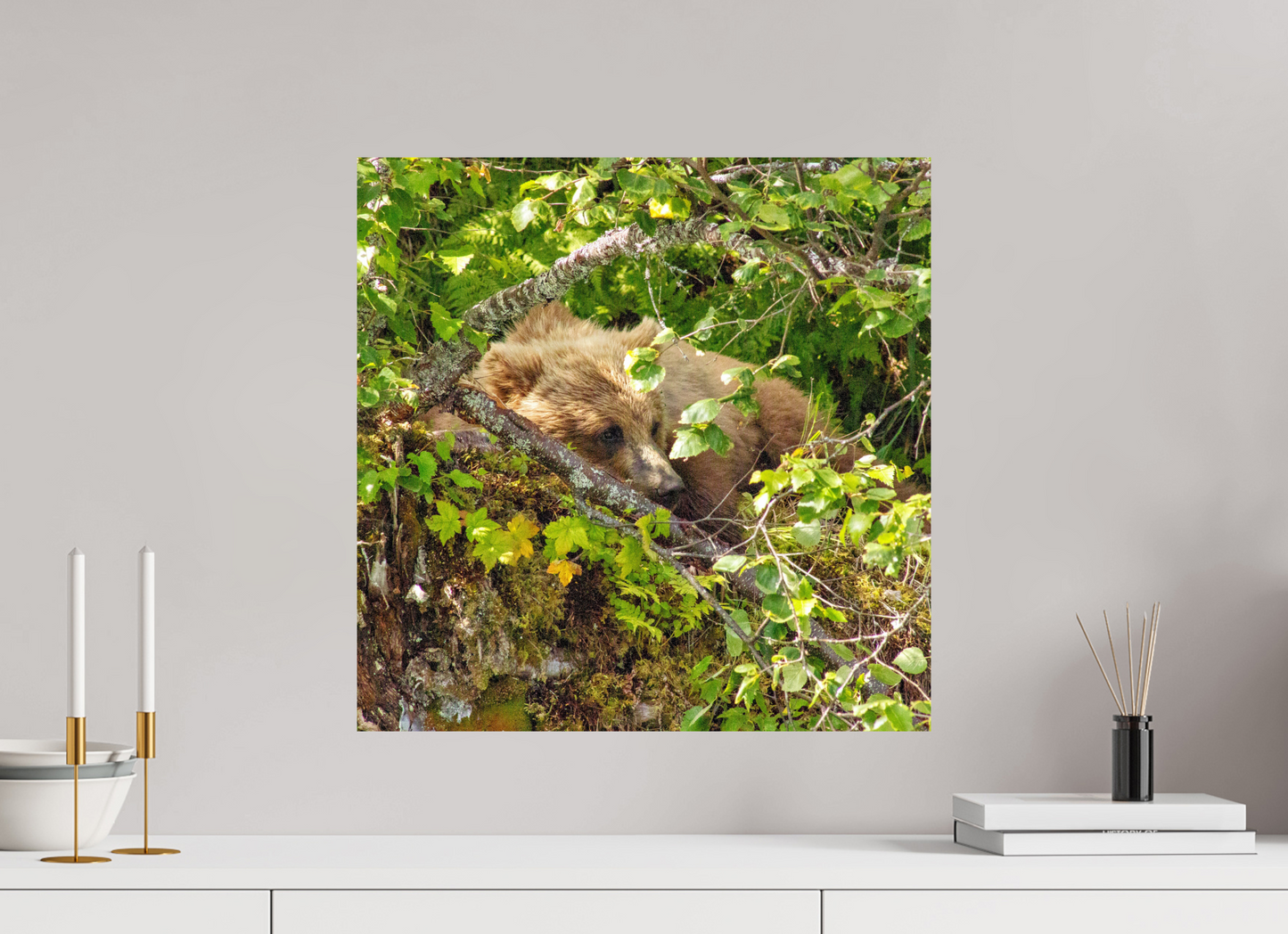 Hide and Peek Nature Photography Print