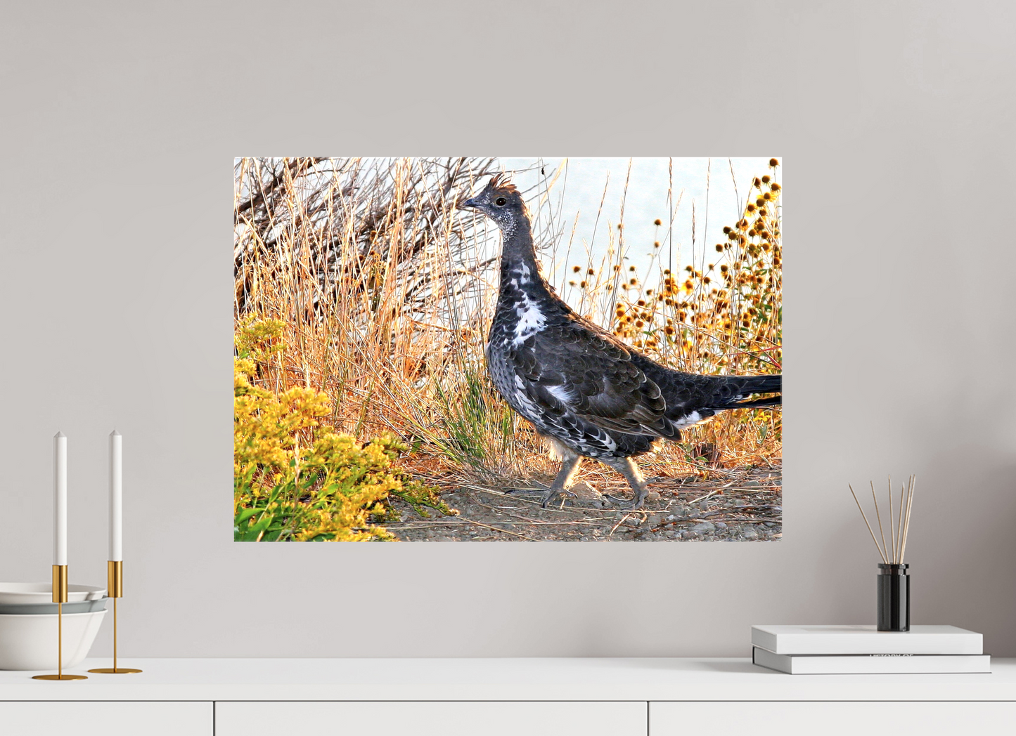 Grounded Grace – Fine Art Print of a Wild Grouse