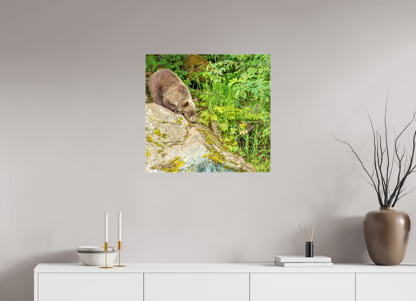 Learning the Ropes Nature Photography Print