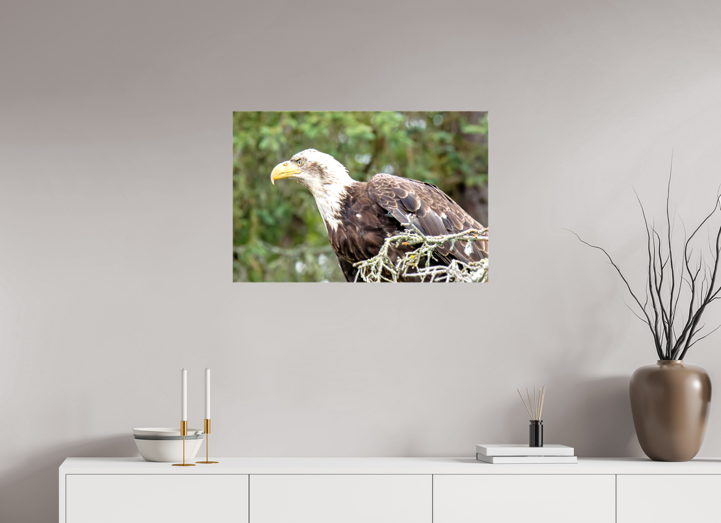 Majestic Watch – Bald Eagle on the Kenai Peninsula Nature Photography Print