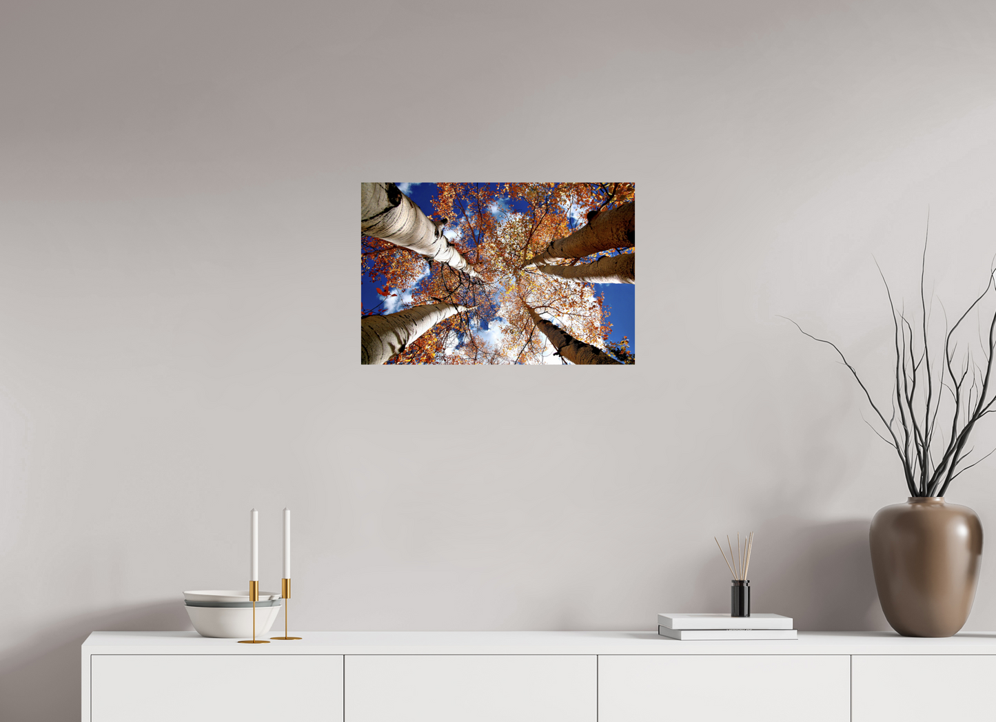 Reaching for the Sky – Where Aspens Whisper to the Clouds Nature Photography Print