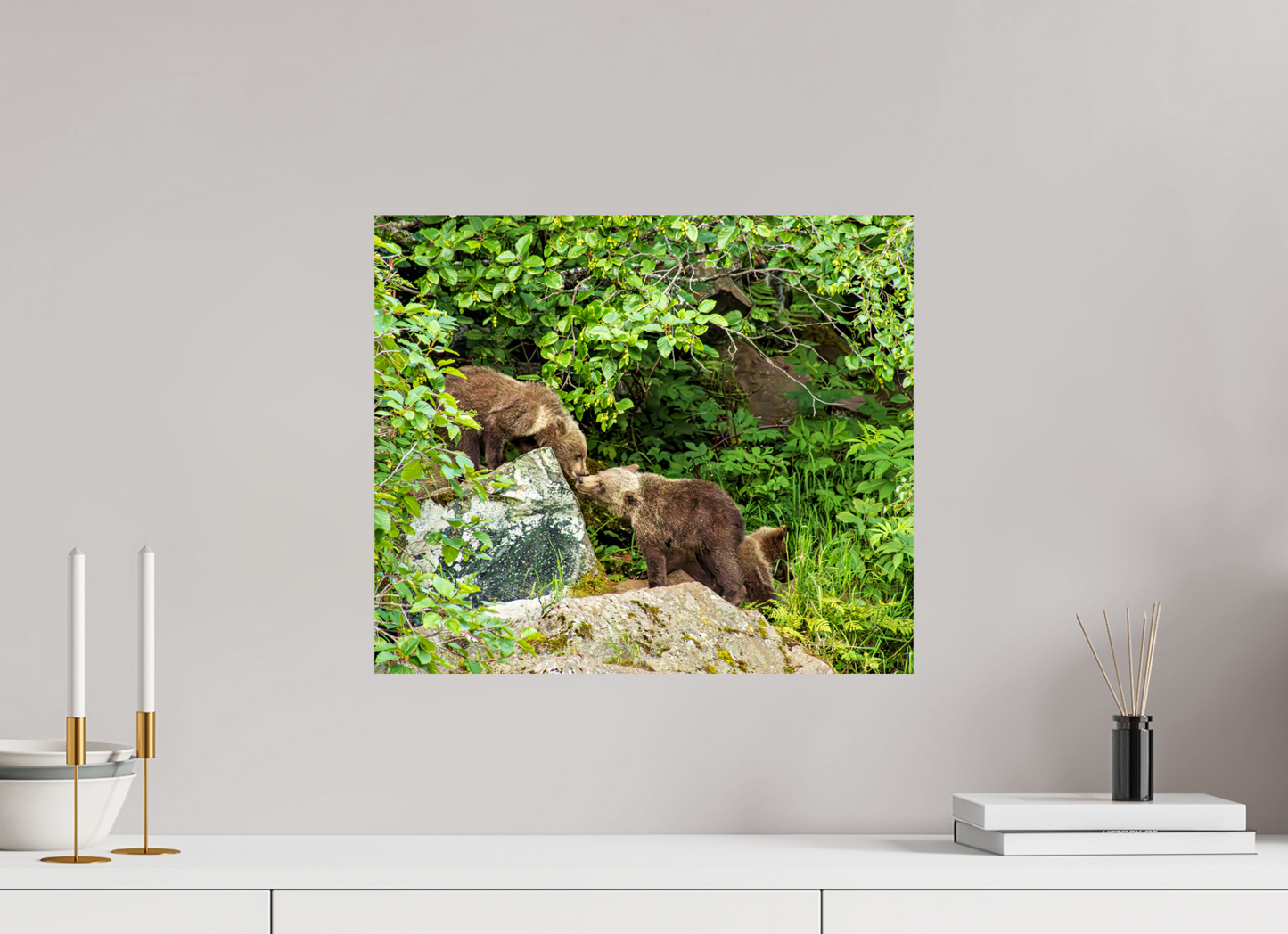 'Kissing" Bear Cubs