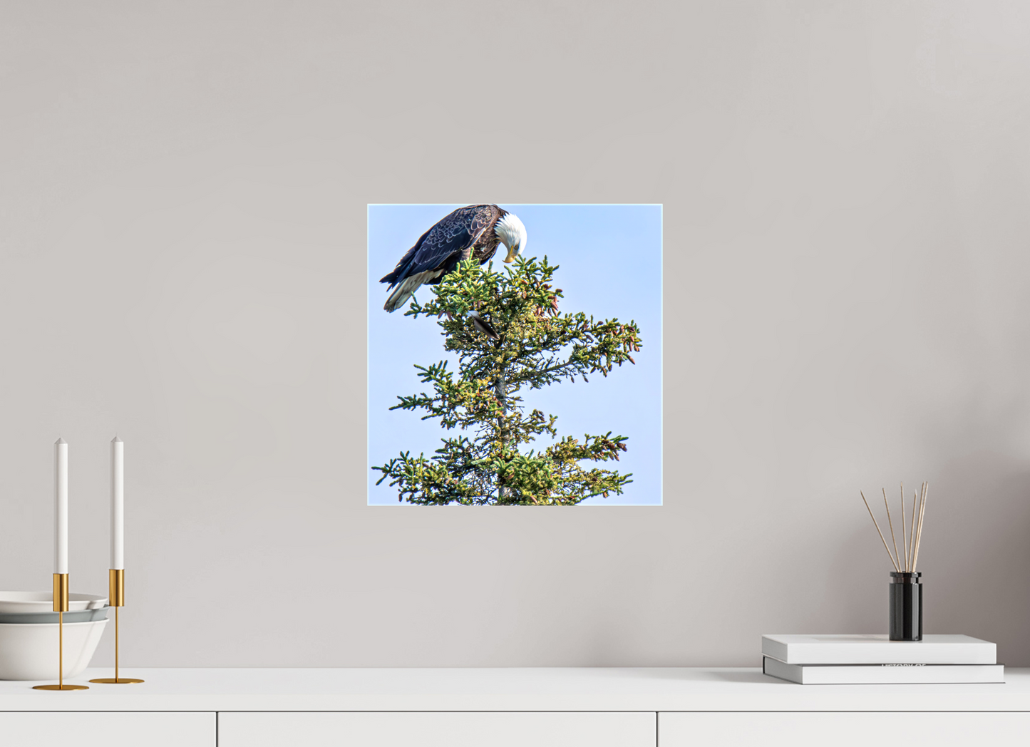 Silent Sentinel – Bald Eagle in Alaska’s Pines Nature Photography Print