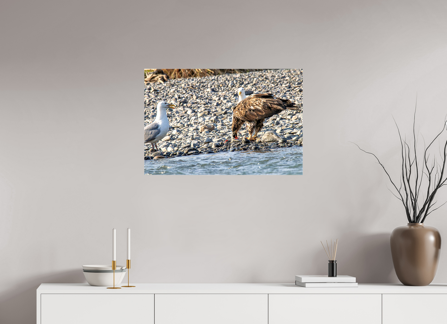 Mine? Mine? – Bald Eagle and Seagull Shoreline Standoff Nature Photography Print