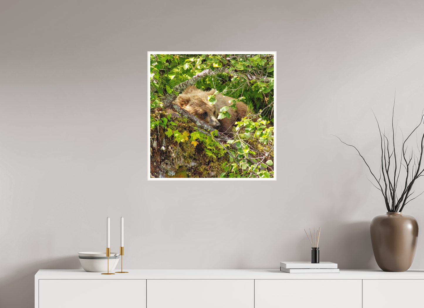 Hide and Peek Nature Photography Print