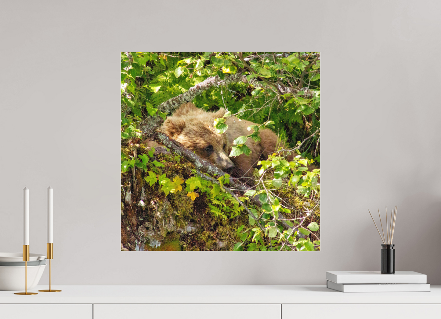 Hide and Peek Nature Photography Print