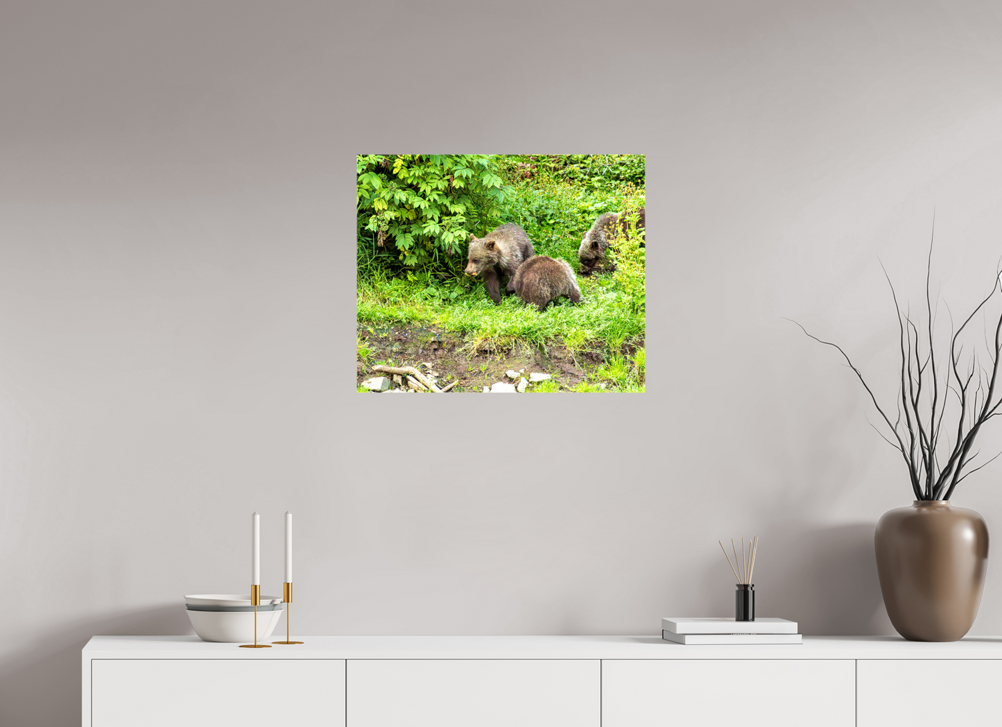 Brown Bear Triplets