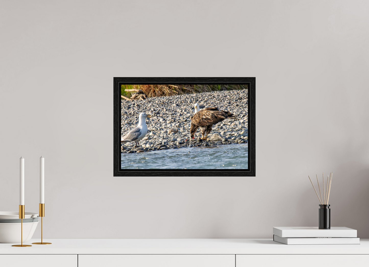 Mine? Mine? – Bald Eagle and Seagull Shoreline Standoff Nature Photography Print