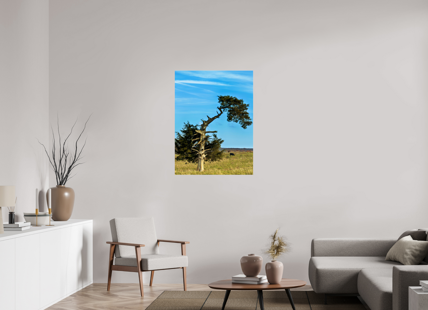 Still Standing – The Cedar That Reached for the Sky