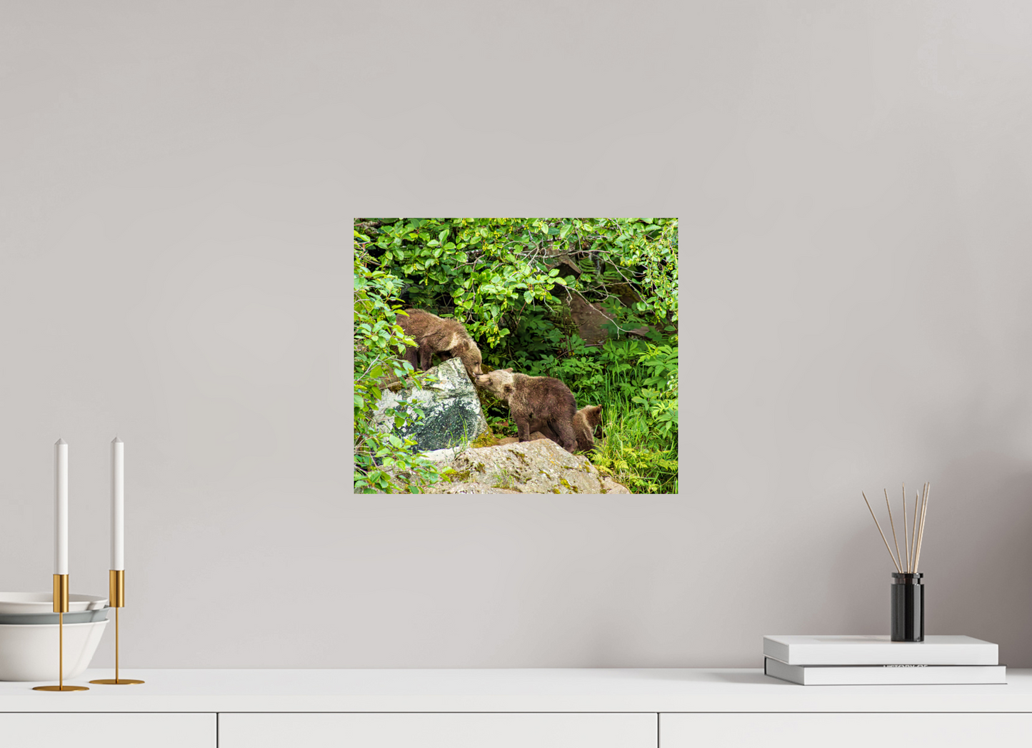 'Kissing" Bear Cubs