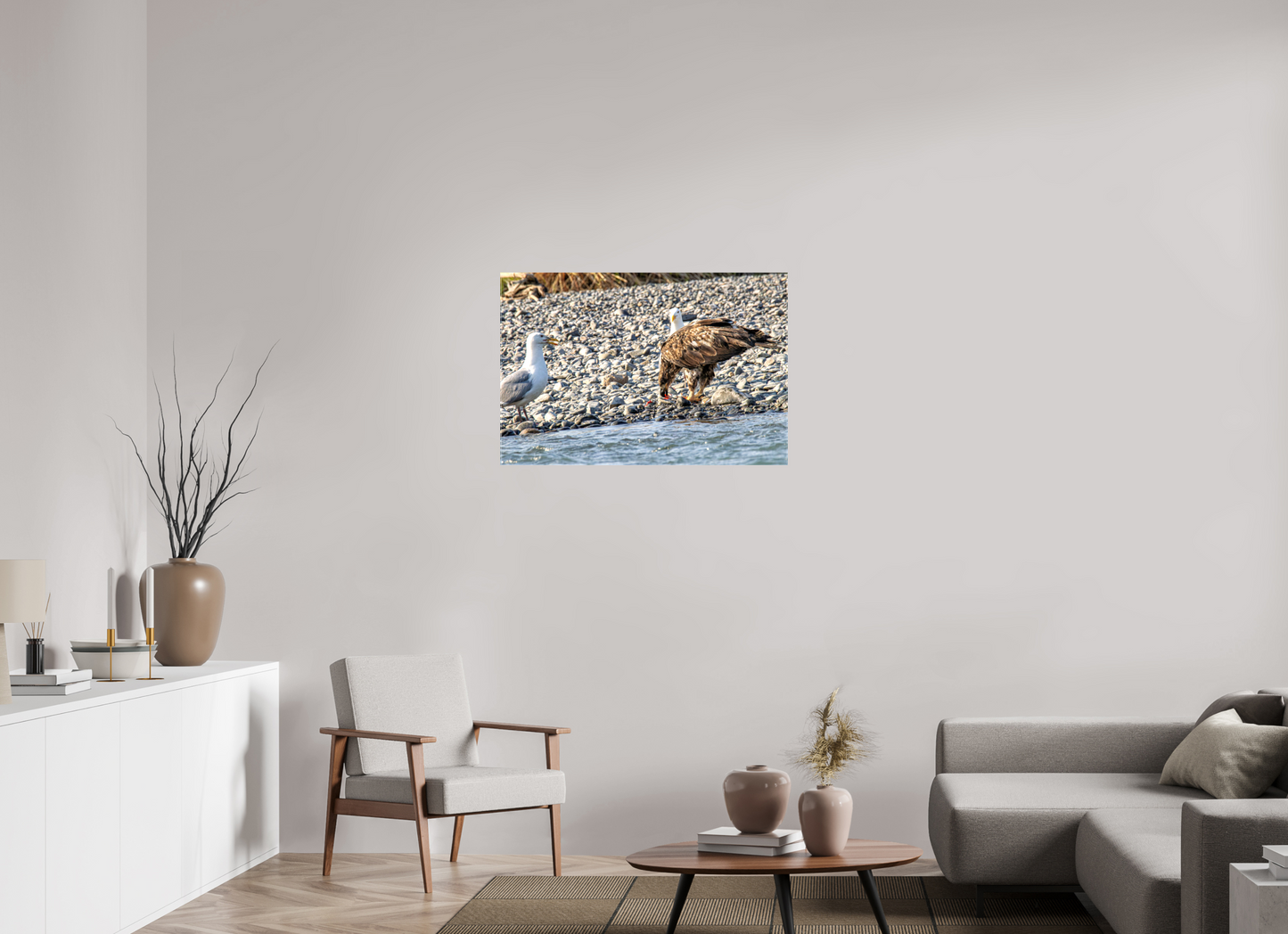 Mine? Mine? – Bald Eagle and Seagull Shoreline Standoff Nature Photography Print