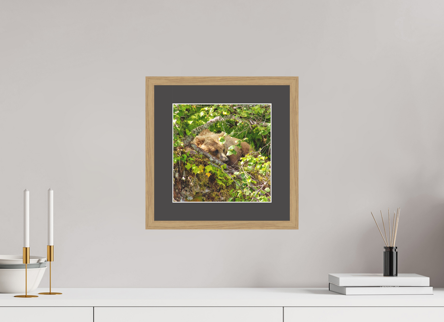 Hide and Peek Nature Photography Print