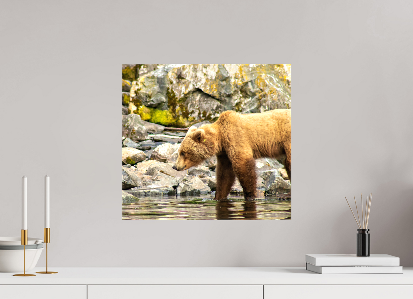 Looking for Dinner Nature Photography Print