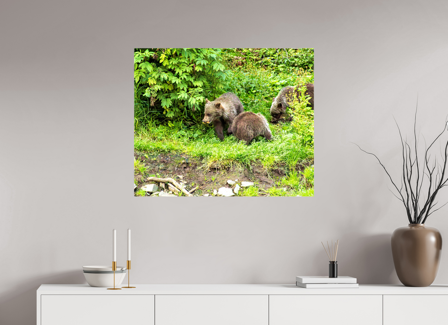 Brown Bear Triplets
