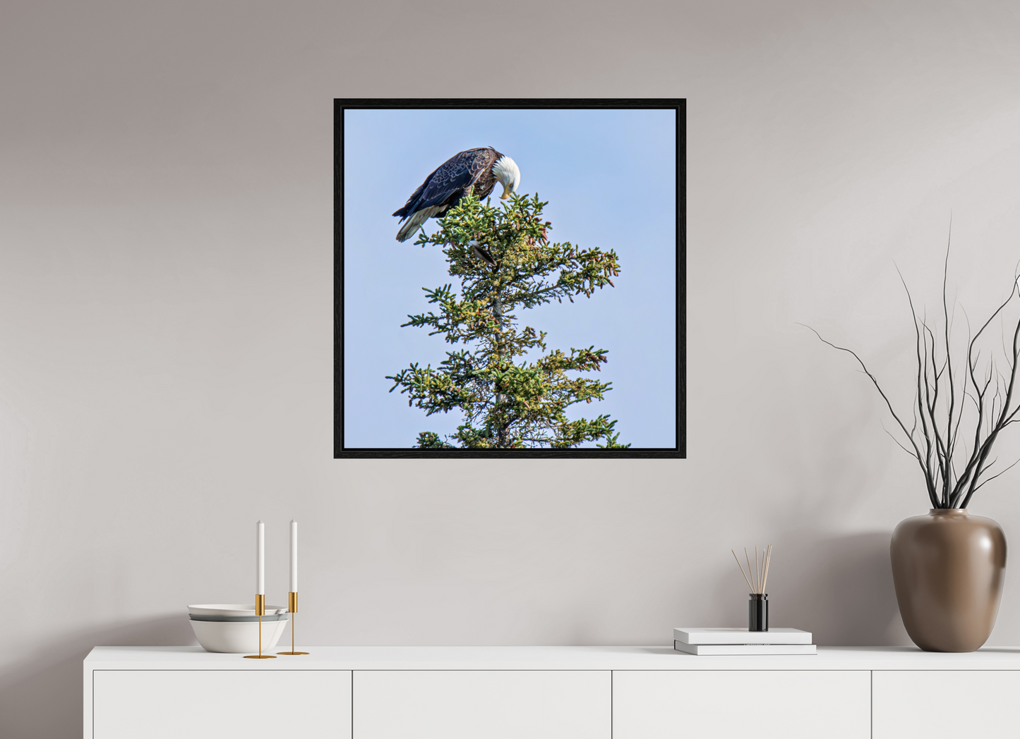 Silent Sentinel – Bald Eagle in Alaska’s Pines Nature Photography Print