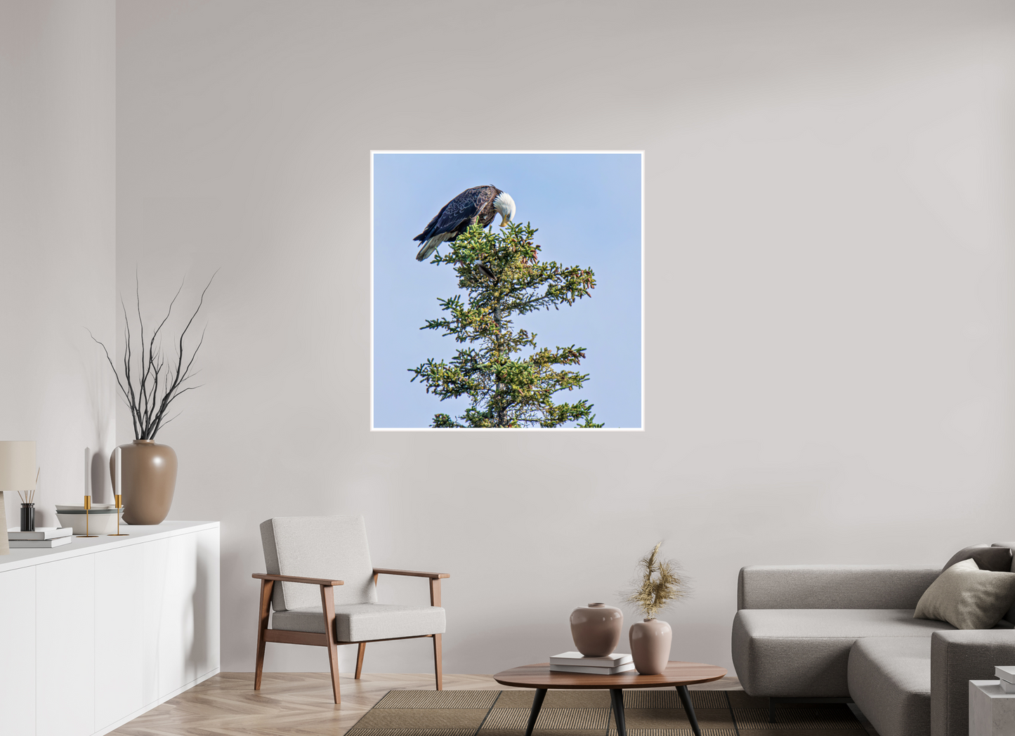 Silent Sentinel – Bald Eagle in Alaska’s Pines Nature Photography Print