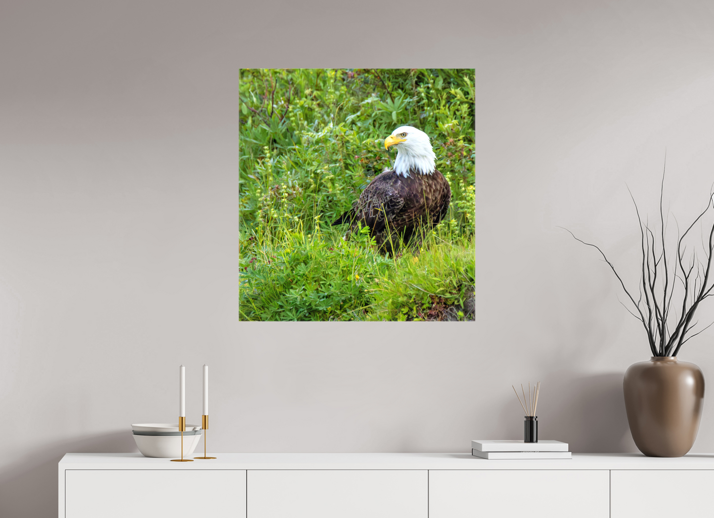 Grounded Majesty – Bald Eagle in Alaska’s Wilderness Nature Photography Print