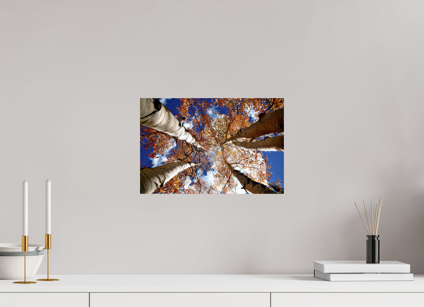 Reaching for the Sky – Where Aspens Whisper to the Clouds Nature Photography Print