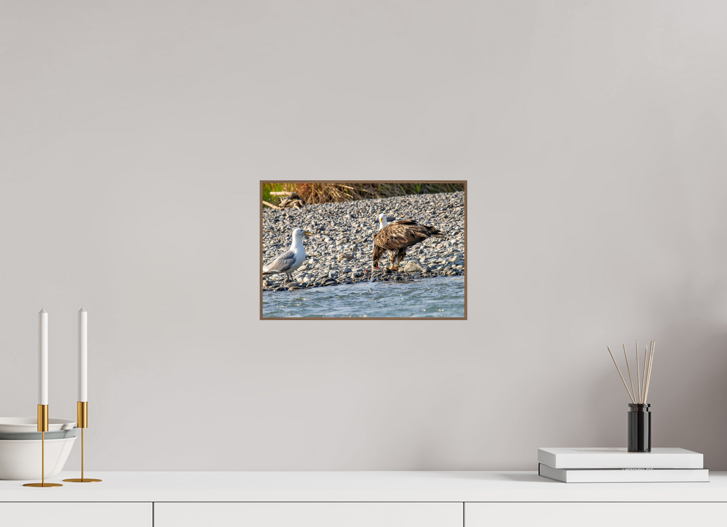 Mine? Mine? – Bald Eagle and Seagull Shoreline Standoff Nature Photography Print