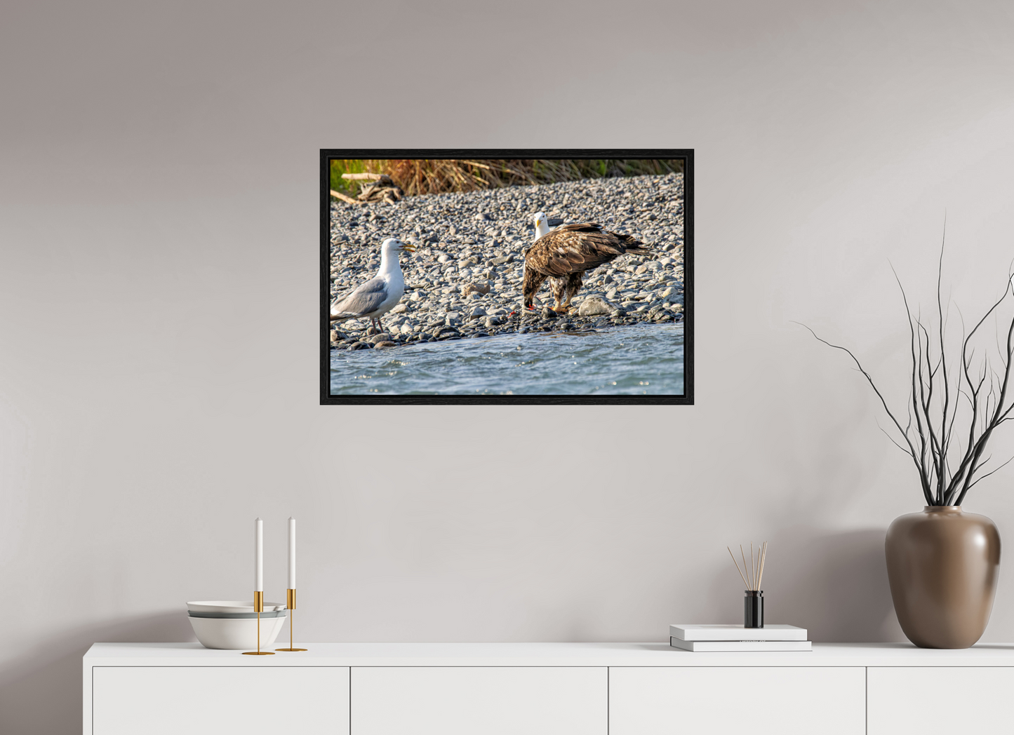 Mine? Mine? – Bald Eagle and Seagull Shoreline Standoff Nature Photography Print